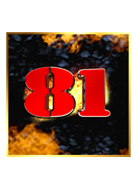 81